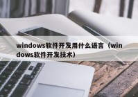 windows软件开发用什么语言（windows软件开发技术）